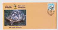 India-special Cover-2007--Star Tortoise,  Logo Dolphin, Marine Mammals - Tortugas