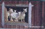 # SWEDEN 60114-26 Goats 120 So3 07.96 -animal- Tres Bon Etat - Schweden