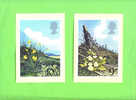 PHQ34 1979 Flowers - Set Of 4 Mint - Cartes PHQ