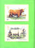 PHQ73 1984 Cattle - Set Of 5 Mint - Tarjetas PHQ