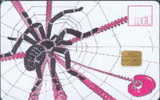 # CZECH NTC3 Spider (New TeleLine / City Card) 500 Gpt 04.94 10000ex -animal,araignee,spider- Tres Bon Etat - Czech Republic