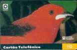 # BRASIL 920502 Tie Sangue -bird,oiseau- 10  05.92 169070ex Tres Bon Etat - Brésil
