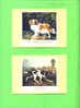 PHQ132 1991 Dogs - Set Of 5 Mint - PHQ Karten