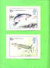 PHQ65 1983 British River Fish - Set Of 4 Mint - Cartes PHQ