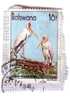 YELLOW-BILLED STORK   ( Botswana Stamp On Paper ) Cigogne Ciguena Storch Ooievaar Cicogna Storks Cigognes Bird Oiseau - Storks & Long-legged Wading Birds
