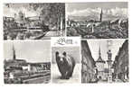 BERN / Berne , Suisse: Multivues; OURS / Bear ; + Cachet AMBULANT 1964; TB - Bären