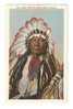 INDIAN CHIEF IN TYPICAL FESTIVE REGALIA - Native Americans