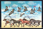 Bulgarie 1989, Cigognes, Chevaux, Conférence Pour L’environnement,  5 X Le Bf  161 - Storks & Long-legged Wading Birds