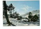 Portugal Cor 4197 – Neve Na Serra Da Estrela - Guarda