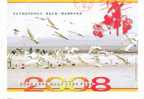 Bird Swans    ,  Prepaid Card , Postal Stationery - Cygnes