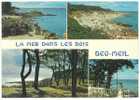 Cpsm 29 BEG MEIL Mer Dans Les Bois Au Port Et Sur Les Dunes Multivue - Beg Meil