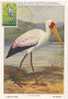 Burundi. Ibis Des Bois. Carte-maximum Premier Jour. - Storks & Long-legged Wading Birds
