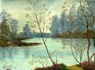 - PAYSAGE AVEC PLAN D´EAU . HUILE SUR TOILE SIGNEE - Olii