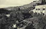 Cpm Garden Of Gethsemani Jerusalem( Jordan) Non Circulee - Jordania