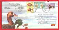 ROMANIA 2007 Postal Stationery Cover. Bird - Gallinacées & Faisans