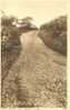 Britain United Kingdom Lynton, Beggar's Roost Old Postcard [P1067] - Lynmouth & Lynton