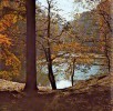 ARTIS-HISTORIA "LA FORET BRABANCONNE" - Collection Complète Des 89 Photos Polychromes Sur Papier Souple Glacé - Artis Historia