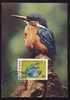 BIRDS - ALBATROS - ALCEDO ATTHIS - 1980 ,maximum Card, Maxi Card- ROMANIA. - Marine Web-footed Birds