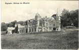 Pepinster - Château Des Masures - Pepinster