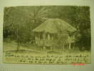 4862  Jamaica  A Home In The Tropics  YEAR´S  1900  OTHERS IN MY STORE - Jamaïque