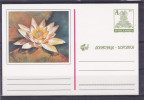 YUGOSLAVIA 1993 - Ilustrated Postal Card  Postal Stationery  Flora Flowers Water Lily  MNH - Postwaardestukken