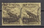 Rumänien; 1954; Michel 1464 O; Monat Des Waldes - Gebruikt