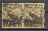 Rumänien; 1954; Michel 1464 O; Monat Des Waldes - Used Stamps