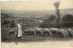 A La Campagne - Paissez Mes Beaux Moutons :! Bergère Et Son Troupeau - Allevamenti