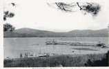 83 CAVALAIRE - Vue Sur La Jetée Et La Croix : Edit : Malet - Cavalaire-sur-Mer