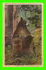 BEAR WITH HER COBS - YELLOWSTONE NATIONAL PARK, WY - THE MADONNA OF THE WILDS - HAYNES INC - CARD TRAVEL IN 1947 - - Bären