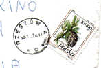 POLAND POLONIA POLSKA 1993 1995 ISOLATO Pinus Complete Cover To Italy, Used Usato Usado - Lettres & Documents