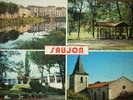 17 - SAUJON - Les Quais De Ribérou, Le Parc Du Puit Doux, Les Thermes...Multivues. - Saujon