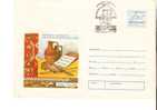 Romania / Postal Stationery With Special Canellation / Costumes - Baile