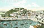 Britain United Kingdom - Torquay - Harbour And Waldon Hill Old Postcard [P628] - Torquay