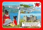 Britain United Kingdom Wales Postcard [P1117] - Andere & Zonder Classificatie