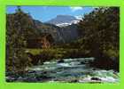 SUISSE (Berne) Wildstrubel - Chalet, Montagne - Voyagé Timbre 1972 Marcophilie Musique - Trub