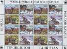 TAJIKISTAN 2005 W.W.F. BHARAL MS MNH - Tadschikistan