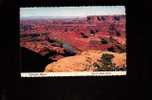 Colorado River From Dead Horse Point Near Moab, Utah - Altri & Non Classificati