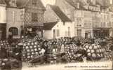 21/ AUXONNE / MARCHE AUX CHOUX FLEURS - Auxonne