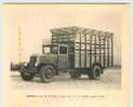 OF < 2 VUES De CAMIONS RENAULT Type TL Et 210/20 - CAMION BETAILLERE Et LAITIER Sur Pneu MICHELIN - Trucks, Vans &  Lorries