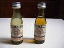 2 MIGNONNETTE RICARD 45° LE VRAI PASTIS DE MARSEILLE  1 PLEINE 1 VIDE Contenance 2,3 Cl - Miniature