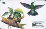 # BRASIL 970405 Beija Flor Verde Furta Cor 20  04.97 -bird,oiseau-  Tres Bon Etat - Brasilien