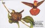 # BRASIL 970319 Beija - Flor Vermelho 20  03.97  -bird,oiseau- Tres Bon Etat - Brésil