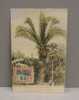 Raphia Taedigera, The Jupati Palm, Jamaica - 1600 - Aston W. Gardner & Co´s Series. Jamaica - Jamaica