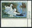 US RW37 Mint Never Hinged Duck Stamp From 1970 - Duck Stamps
