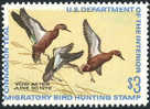 US RW38 Mint Never Hinged Duck Stamp From 1971 - Duck Stamps