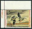 US RW39 Mint Never Hinged Duck Stamp From 1972, Corner Plate # - Duck Stamps