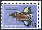 US RW45 Mint Never Hinged Duck Stamp From 1978 - Duck Stamps