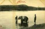 CONGO . FRANCAIS .   L´AMI DE BANZIVILLE  L´ELEPHANT . - French Congo