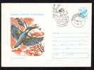 BIRDS - ALBATROS - ALCEDO ATTHIS - ,cover Stationery  1977 - Obliteration Concordante,ROMANIA. - Marine Web-footed Birds